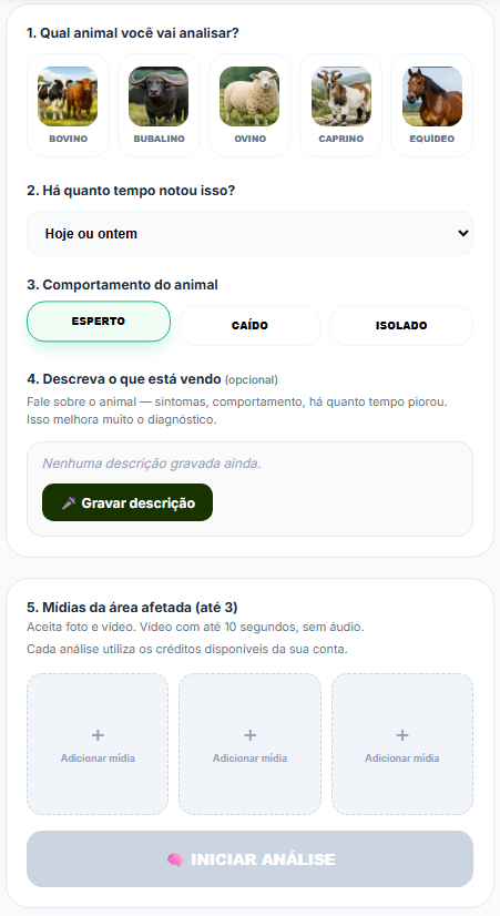 VetLida app no celular